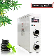 H-11 Digital Water Heater