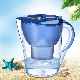  Standard Everyday Filter Pitcher Water Purifier with 1 Standard Filter