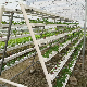  Hot Sale Hydroponic Channel System in Greenhouse and Farm Nft Channels for Hydroponic Growing