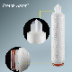  Industrial Hydrophilic Replacement Water Pleated Filter Element for Protein Purification/Chemical/Semi-Industry