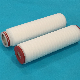  Pes Pleated Micro Filter Cartridge for Water Treatment and Reverse Osmosis Filter