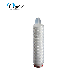  0.22um Highly Asymmetric Pes Membrane Pleated Filter Cartridge for Beer Vodka Water Final Filtration