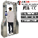 Public Automatic Fog Sanitize Access Control Walk Through Disinfection Tunnel