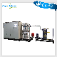  Ozone Generator 300g Ozone Generator Industrial Ozone Generator for Drinking Water Disinfection