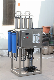  250 Lph RO System Stainless Steel Reverse Osmosis Plant RO Water Treatment Water Filter Machine