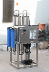 250 Lph RO System Stainless Steel Reverse Osmosis Plant RO Water Treatment Water Filter Machine