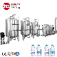 Water Purifier with RO Water Purification System manufacturer