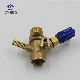Brass Gas/Electric Heating Furnace Control Valve Feed Water Pipe System manufacturer