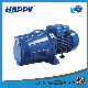 Happy Chinese Manufacturers Self-Priming Water Jet Pump (P-SH100)