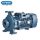  Purity Electric Close Coupled Monoblock Surface Centrifugal Water Pump