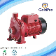  Hot Selling Copper Coil Home Use Cpm Series Surface Electric Centrifugal Presssure Water Pump