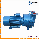 Liquid (Water) Ring Vacuum Pump (2BV2 060 061 070 071, 2BV5 110 111 121 131 161, 2BV6 110 111, 121 131 161)