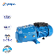  Hot Sale 1HP 100% Copper Wire AC Motor High Pressure Booster Jet Water Pump for Garden Irrigation