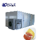 Hot Air Heat Pump Tray Vegetables Fruits Grapefruit Pomelo Dryer manufacturer