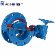 Ductile Iron EPDM Lined Wras Industrial Control Double Eccentric Flange Butterfly Valve