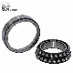  Differential/Needle/Roller/Rolling Bearing Automotive/Textile Machine/Wheel Bearings F-574703. Skl-Hlb-H75 Double Row Self-Aligning Ball/Gear Box Bearings INA