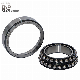 Differential/Needle/Roller/Rolling Bearing Automotive/Textile Machine/Wheel Bearings F-574703. Skl-Hlb-H75 Double Row Self-Aligning Ball/Gear Box Bearings INA