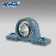 Fkd/Inster Bearing/Bearing /Bearing Units/Pillow Block Bearing Units