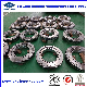 Small Size Slewing Ring Bearing for Truck Mounted Crane