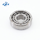  Cylindrical Roller Bearing for Rolling Mill Nu206em