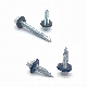 Bi Metal Roofing Screw SS304+Ss410 Compound Self Drilling Hex Head Bi-Metal Screw