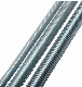 Thread-Rod Manufacturer Sell Grade 4.8 / 5.8 / 8.8 Full Thread DIN 975