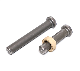  High Quality M19X100 Shear Studs Nelson Stud En ISO13918