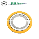 15 Years Gasket Mater Spiral Wound Gasket (RS1)