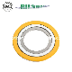  15 Years Gasket Mater Spiral Wound Gasket (RS1)