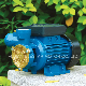  0.5HP Jet-60p Jet Hydraulic Plastic Pump for Water Long Distance Motor
