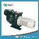 Competitive PVDF FRPP Self-Priming Pump for Industrial Utilities