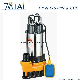 Wqd 0.55kw 0.75HP Cast Iron Sewage Submersible Water Pump manufacturer