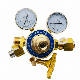  Propane Decompressor for Gas Manifold Brass Pressure Regulator