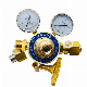 Propane Decompressor for Gas Manifold Brass Pressure Regulator