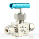 Hikelok Manufacturer PCTFE Stem High Pressure 316 Stainless Steel Needle Valve