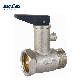  Bmag Safety Relief Valve for Water Heater
