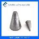  Valve Parts Tungsten Carbide Choke Beans for Valve Stem