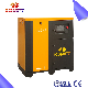 Professional Industrial High Pressure Screw Air Compressor with Wholesale Price