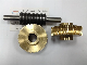 Precision Anti-Backlash Stainless Steel Worm Gear and Bronze Worms