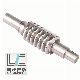  Stainless Steel Worm Endless Screw