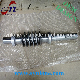  Steel Worm Gear with Machining for Gearbox Spare Parts