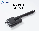 12V 24V 36V 48V 8000n 50-900mm IP65 Waterproof Linear Actuator with Limit Switch Hall Sensor Pot