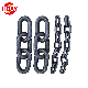  G80 Lifting Chain Binder Chain Black Color