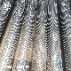 Alloy Steel Seamless Studded Fin Tube/Pipe ASTM A335 GRP9/P5/P22/P91/P11/Tp410/CS for Heat Exchanger