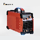 Rhk Digital IGBT 220V Inverter Micro Arc Welder TIG Welding Machine