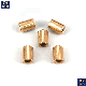 MIM/Powder Metallurgy Sintered Oil-Bearing Copper/Stainless Steel Bushing Mixer