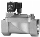 Stainless Steel 2/2-Way Pilot Operated Solenoid Valve