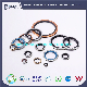  Zink Plated Dowty Seal Metal Gasket Inch Size Self-Centering Bonded Seal