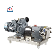 Stainless Steel Sanitary Rotary Lobe Pump High Viscosity Liquid Transfer Pump