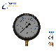 Differential Pressure Gauge/Natural Gas Pressure Gauge